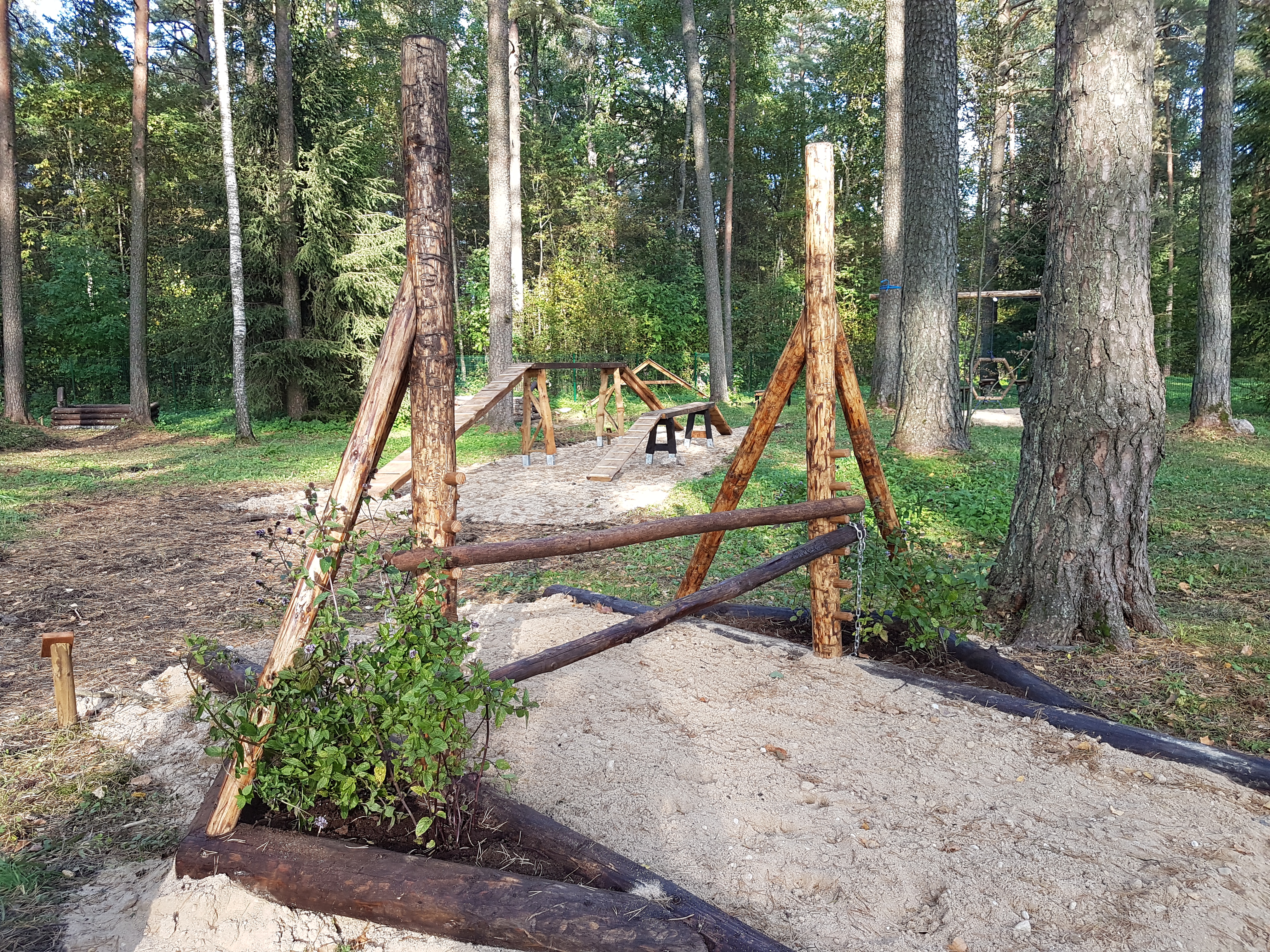 Natural Jumping Element With Sensory Plants